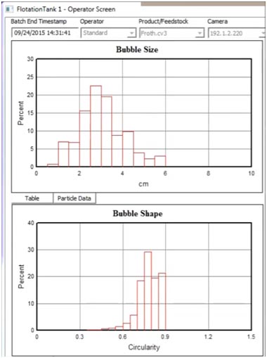 CANTY摄像系统在泡沫浮选中的应用